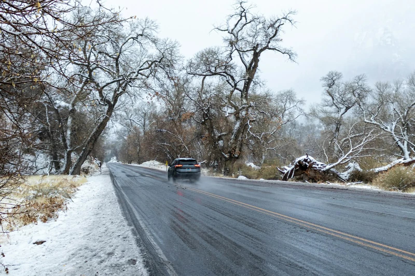 Winter vs. All-Season Tires in Minnesota