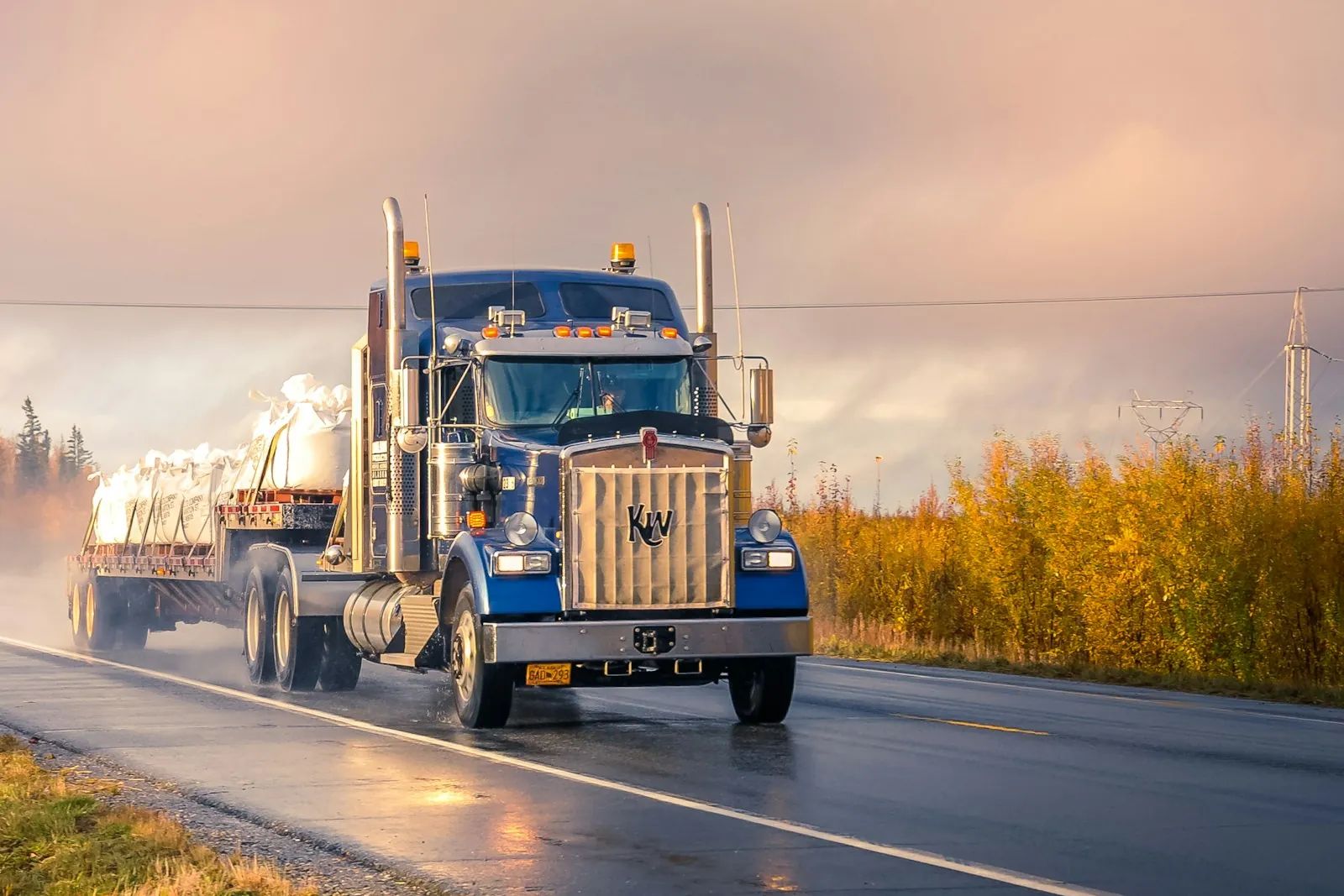 Commercial & Fleet tires